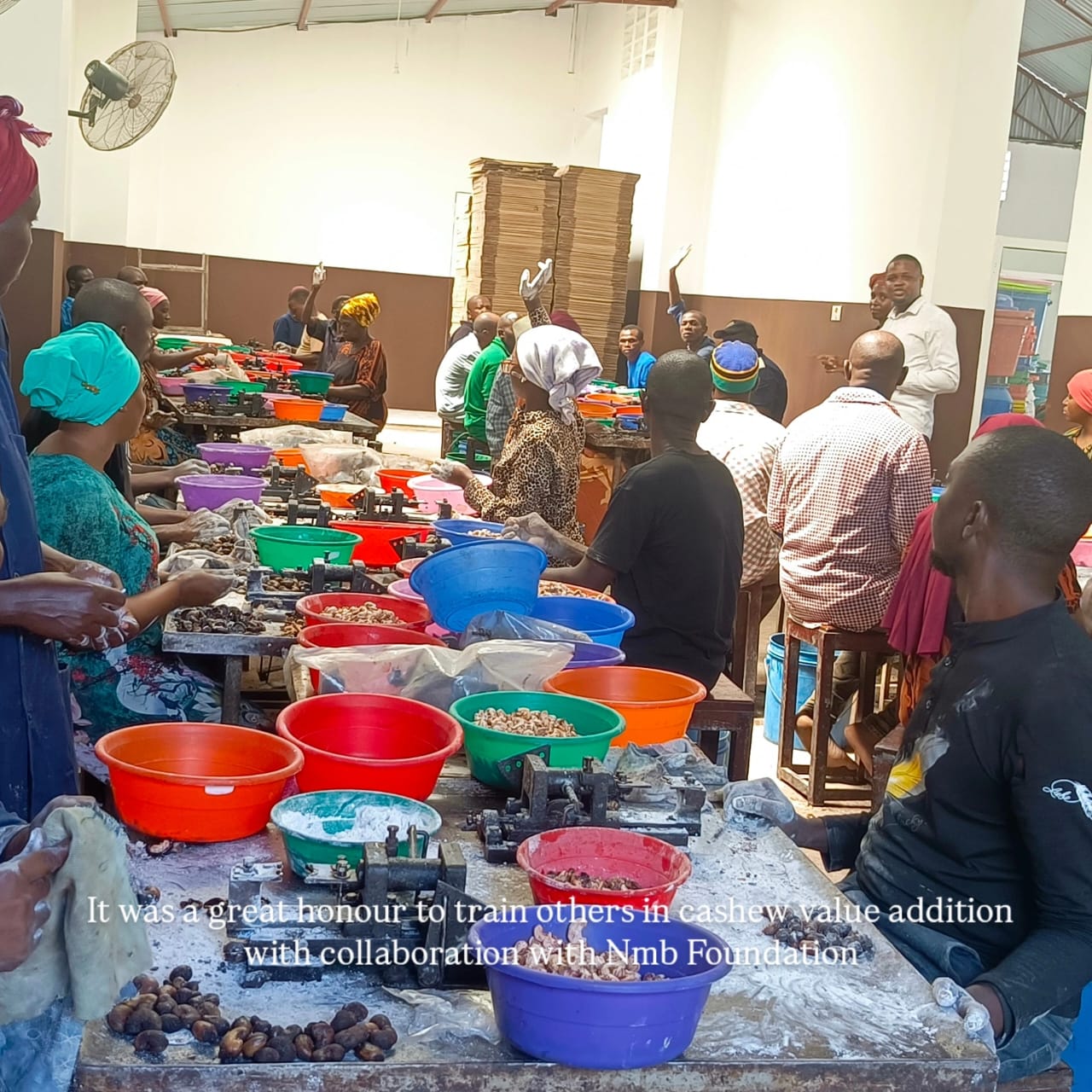 Processing floor — cashew shelling and sorting