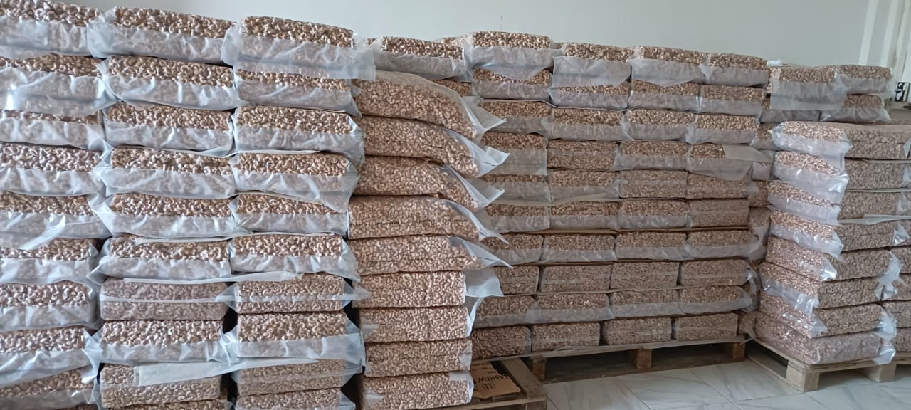Organic raw cashews in bulk — ready for export